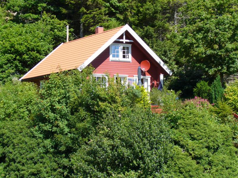 Lind 005hylla 008 (Medium)_7